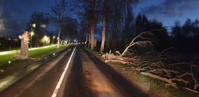 Audra vertė medžius ir kelyje netoli Traksėdžių.