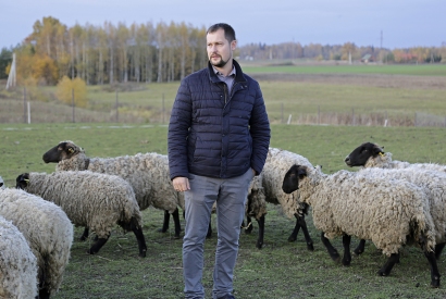 Foto: Ūkininkas Jonas Kurtinaitis, pasinaudojęs „Parama smulkiesiems ūkiams“, įsigijo 60 avių. Ričardo PASILIAUSKO nuotrauka