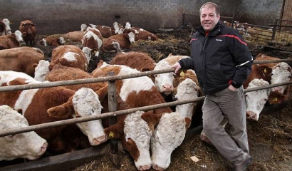 Atrodo, kad ūkininkams pavyks atgauti tas išmokas, kurias Briuselis liepė nukarpyti 2012-aisiais