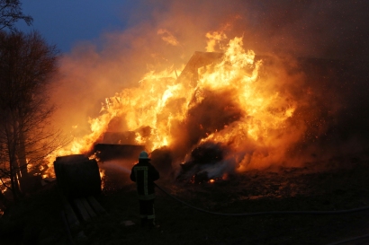 Šilutės priešgaisrinės gelbėjimo tarnybos vadovas R. Mačijauskas teigė, kad gaisre sudegė 9 jaučiai, 3 veršingos karvės, traktoriaus priekaba, arklio vežimas, 250 šieno ritinių, 50 šiaudų ritinių ir daug įvairaus ūkyje naudojamo inventoriaus.