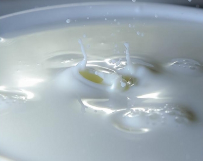 Žaliavinio pieno lietuviai nebeparduoda nei į Rusiją, nei į Baltarusiją. V.Ščiavinsko nuotr.