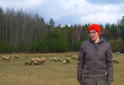 Vilkai aplankė didžiausią Pagėgių krašte ūkininkės Laimos Aleknavičienės avių bandą.