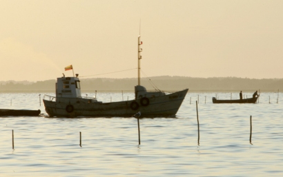 Pakeitimai planuojami atsižvelgus į pastarųjų metų žuvų išteklių tyrimus Kuršių mariose.