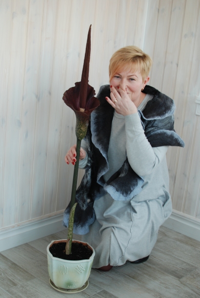 Jolita Stankevičienė žavisi egzotiniais augalais.