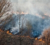 Žolės deginimas – žingsnis nelaimės link