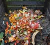 Rekomendacijas buityje susidarančioms biologiškai skaidžioms atliekoms kompostuoti keičia privalomi reikalavimai