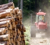 Miškų ūkio pertvarka naudinga ir valstybei, ir patiems miškininkams 