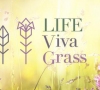Įgyvendinamas aplinkos apsaugos projektas „Vivagrass“