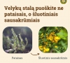 Velykų stalą puoškite ne pataisais, o šluotiniais sausakrūmiais