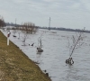 Potvynio vanduo išplovė dešimtis tūkstančių eurų kainuojančius „auksinius“ medelius