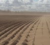 Gamtos išdaigos Pagėgių rajone: vėjas sukėlė smėlio audrą