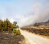 Šiemet jau išdegė daugiau hektarų žemės nei pernai
