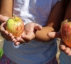 Kvietimas ikimokyklinukus maitinti ekologišku maistu