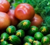 Lietuvoje parduodamos šviežios daržovės – saugios ir kokybiškos