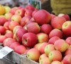 Sodininkai: už obuolius teks mokėti brangiau