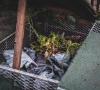 Kompostas: kaip žaliąsias atliekas paversti naudinga trąša?