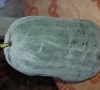 Žieminis melionas stebina kiekvieną, jį pamačiusį