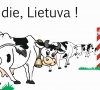Ūkininkai pasiduoda: 76 pieno gamintojai išparduoda melžiamas karves