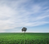 Kalbamės ir  Žodžio šviesoje dairomės po pievas,  apylinkes, dangų ir savo širdį