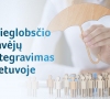 Prieglobstį Lietuvoje gavę užsieniečiai bus labiau skatinami integruotis ir mokytis lietuvių kalbos