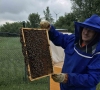 SBA įmonėje „Germanika“ apgyvendintos bitės