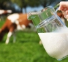 Prekybininkai nesutinka pasirašyti memorandumo dėl pieno