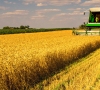 Ką būsimoji Vyriausybė žada žemės ūkiui?