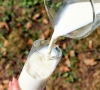 Informacija apie vidutines faktines bazinių rodiklių pieno supirkimo kainas 2017 m. vasario mėn.